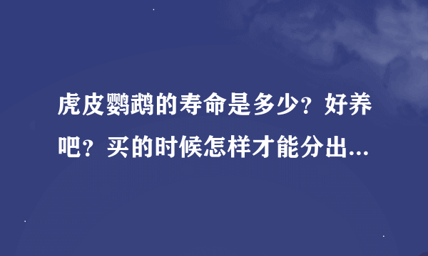 虎皮鹦鹉的寿命是多少？好养吧？买的时候怎样才能分出大小来？