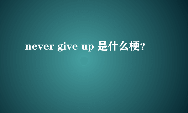 never give up 是什么梗？