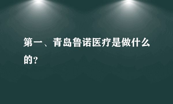 第一、青岛鲁诺医疗是做什么的？