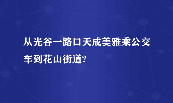 从光谷一路口天成美雅乘公交车到花山街道?