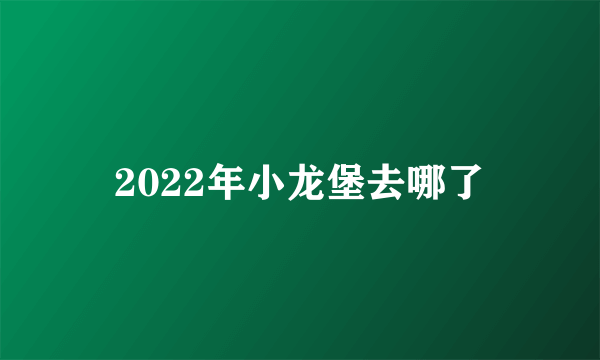 2022年小龙堡去哪了