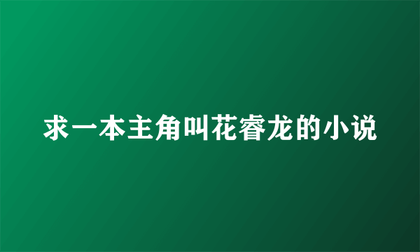 求一本主角叫花睿龙的小说