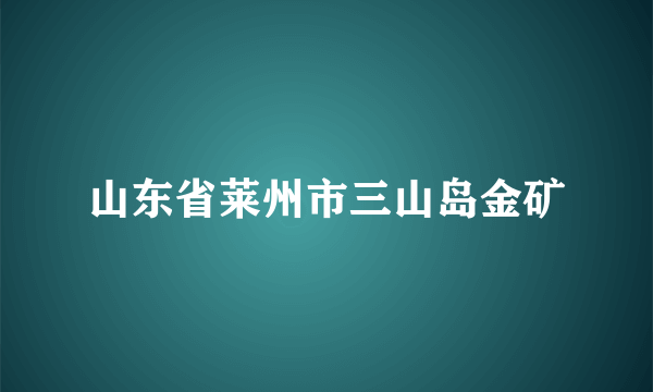 山东省莱州市三山岛金矿