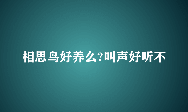 相思鸟好养么?叫声好听不