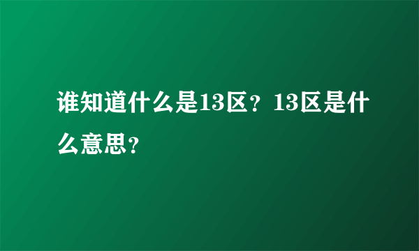 谁知道什么是13区？13区是什么意思？