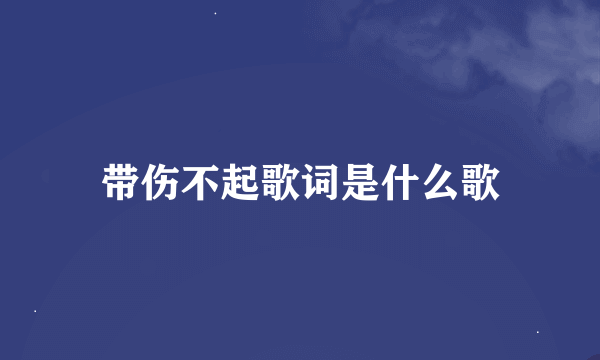 带伤不起歌词是什么歌