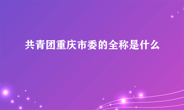 共青团重庆市委的全称是什么