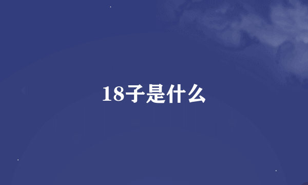 18子是什么