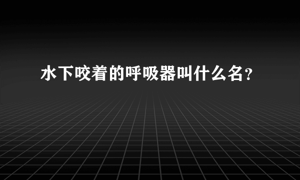 水下咬着的呼吸器叫什么名？