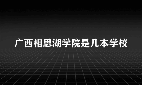 广西相思湖学院是几本学校