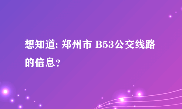 想知道: 郑州市 B53公交线路的信息？