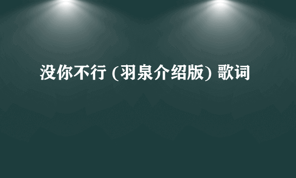 没你不行 (羽泉介绍版) 歌词