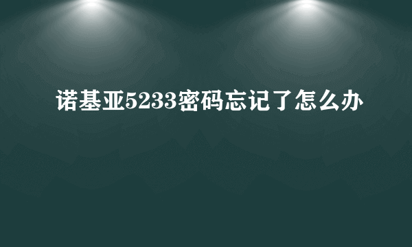 诺基亚5233密码忘记了怎么办