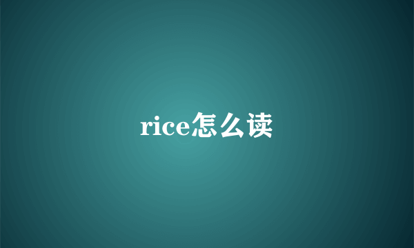 rice怎么读