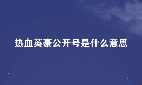 热血英豪公开号是什么意思