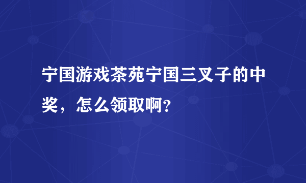 宁国游戏茶苑宁国三叉子的中奖，怎么领取啊？