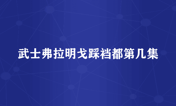 武士弗拉明戈踩裆都第几集