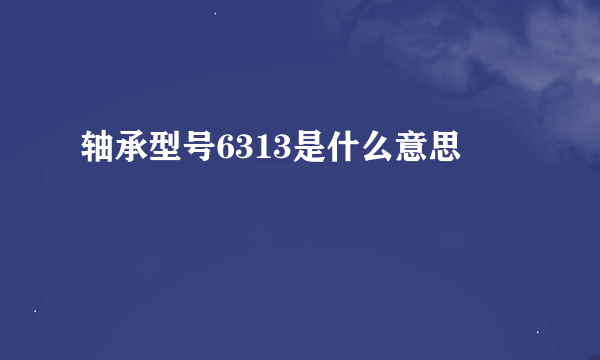 轴承型号6313是什么意思