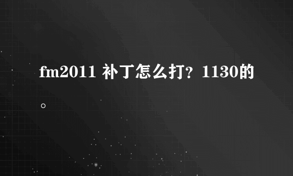 fm2011 补丁怎么打？1130的。