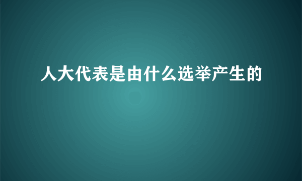 人大代表是由什么选举产生的