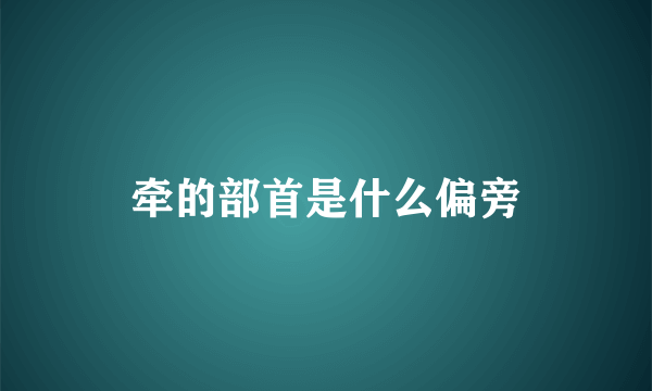 牵的部首是什么偏旁