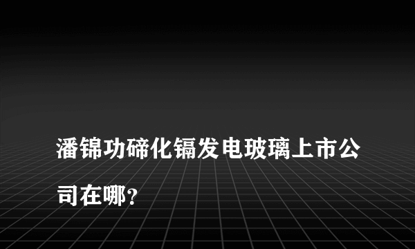 
潘锦功碲化镉发电玻璃上市公司在哪？

