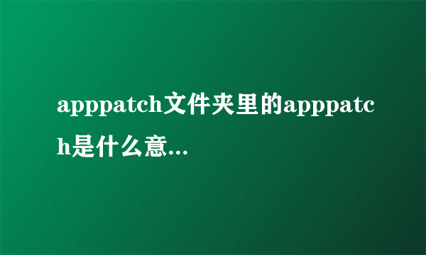 apppatch文件夹里的apppatch是什么意思?是存放什么文件的?