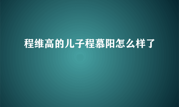 程维高的儿子程慕阳怎么样了