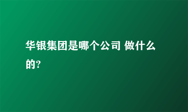 华银集团是哪个公司 做什么的?