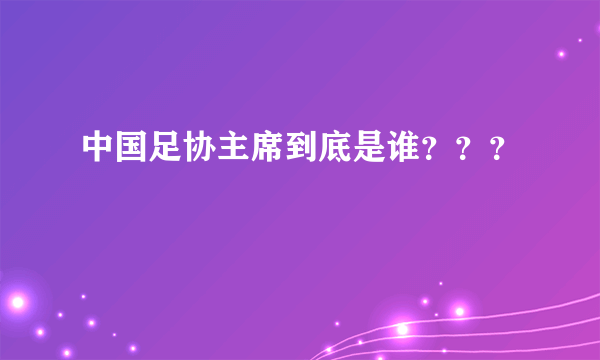 中国足协主席到底是谁？？？