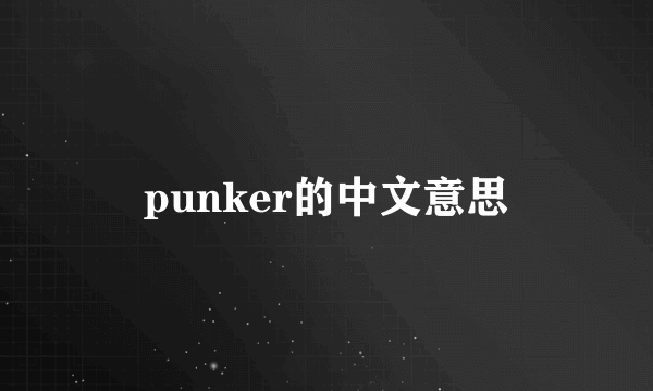 punker的中文意思