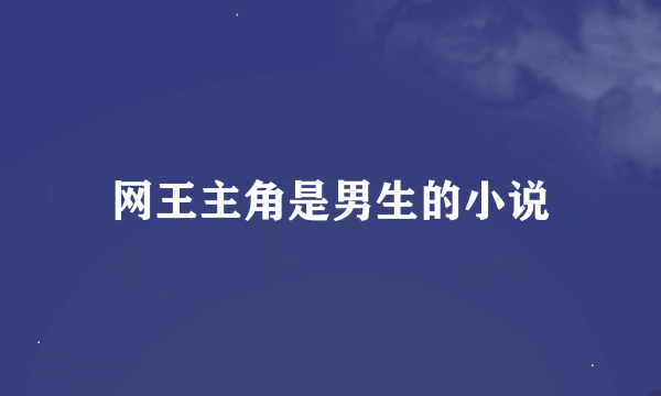 网王主角是男生的小说