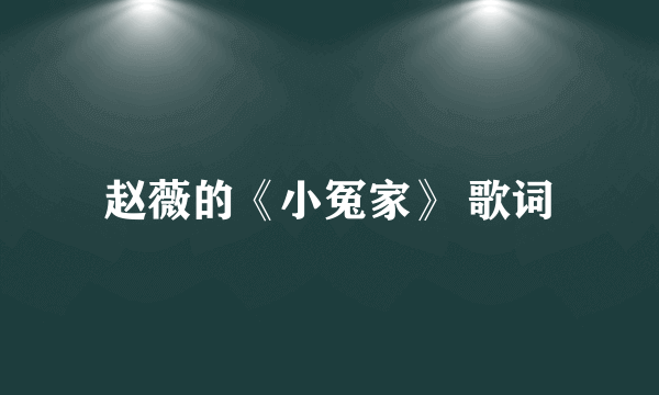 赵薇的《小冤家》 歌词