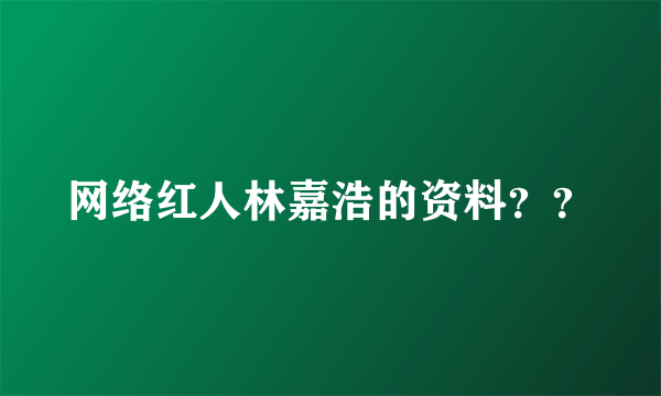 网络红人林嘉浩的资料？？