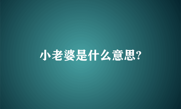 小老婆是什么意思?