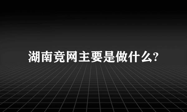 湖南竞网主要是做什么?