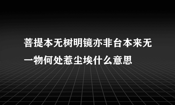 菩提本无树明镜亦非台本来无一物何处惹尘埃什么意思