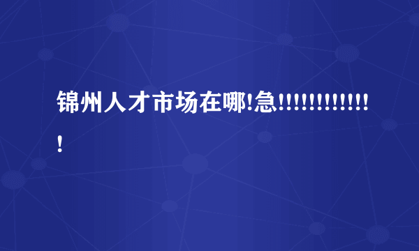 锦州人才市场在哪!急!!!!!!!!!!!!!