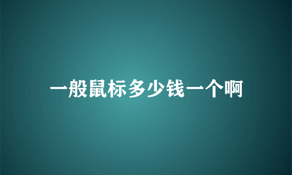 一般鼠标多少钱一个啊