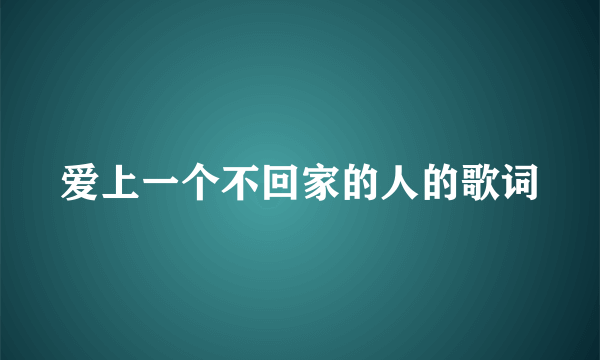 爱上一个不回家的人的歌词