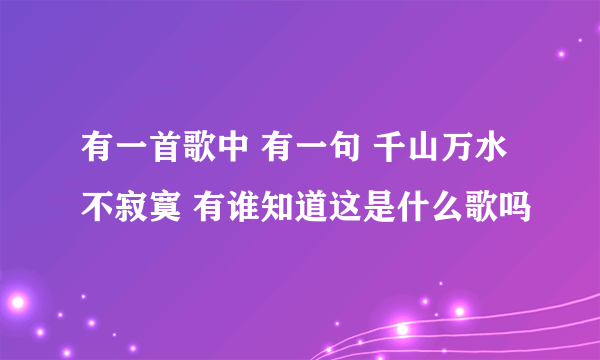 有一首歌中 有一句 千山万水不寂寞 有谁知道这是什么歌吗