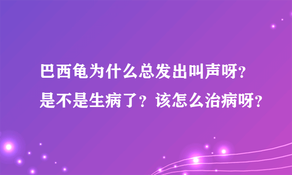 巴西龟为什么总发出叫声呀？是不是生病了？该怎么治病呀？