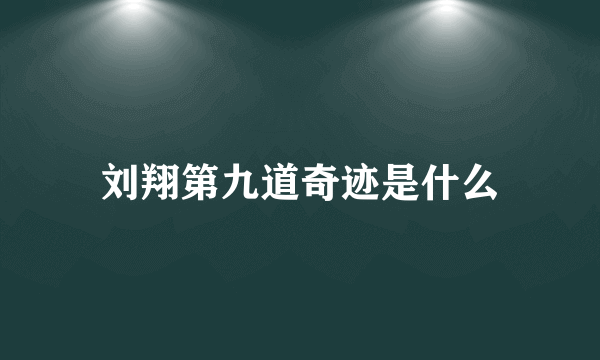 刘翔第九道奇迹是什么