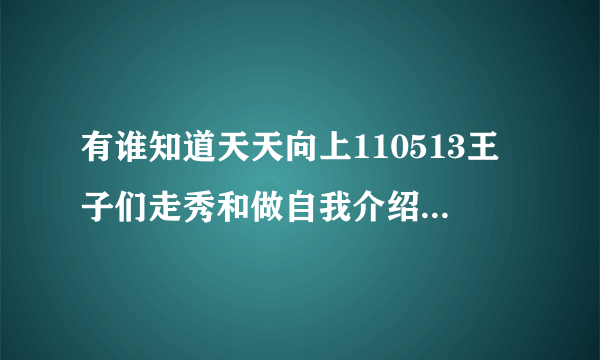 有谁知道天天向上110513王子们走秀和做自我介绍时的背景歌曲 。