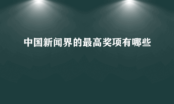 中国新闻界的最高奖项有哪些