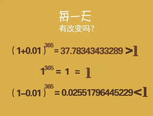 1.01的365次方感悟总结是什么?