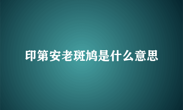 印第安老斑鸠是什么意思