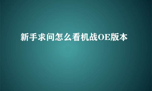 新手求问怎么看机战OE版本