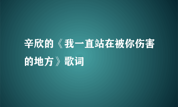 辛欣的《我一直站在被你伤害的地方》歌词