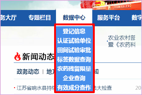 中国农药信息网如何查询？